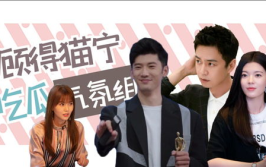 娱乐吃瓜气氛组,揭秘娱乐吃瓜气氛组的狂欢世界