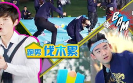 伐木累娱乐,打造多元化娱乐生态圈