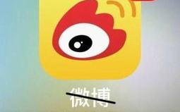 娱乐吃瓜小杰微博号,跟随吃瓜小杰微博号，洞察明星幕后故事”