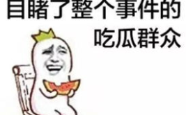 资深娱乐吃瓜群众,资深吃瓜群众视角下的娱乐圈风云录