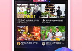 娱乐吃瓜酱土豆视频下载,土豆视频下载攻略，轻松获取热门娱乐内容