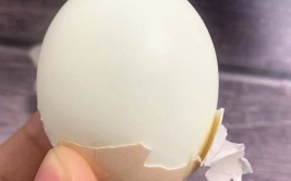煮鸡蛋的做法,轻松剥壳，营养满分