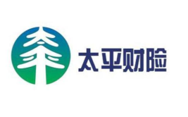 太平财产保险,百年央企，服务实体经济，引领保险创新