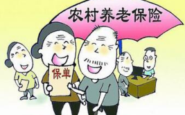 农村养老保险交多少年,了解最低缴费年限及待遇享受
